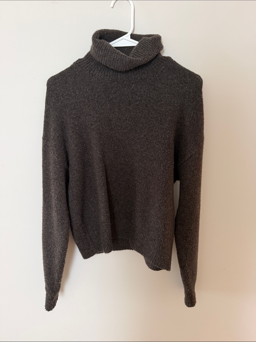 H&M Dark Brown Turtleneck Sweater